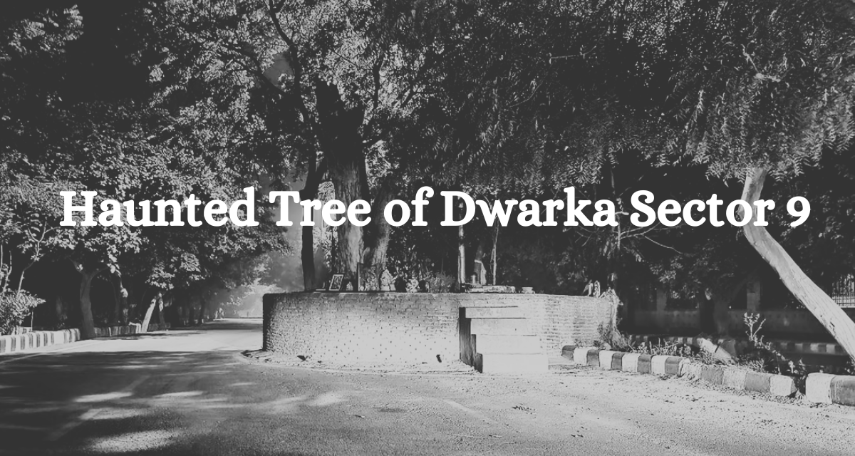 Haunted Tree of Dwarka Sector 9