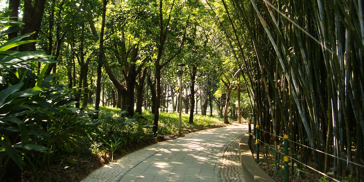 Mangrove Nature Reserve