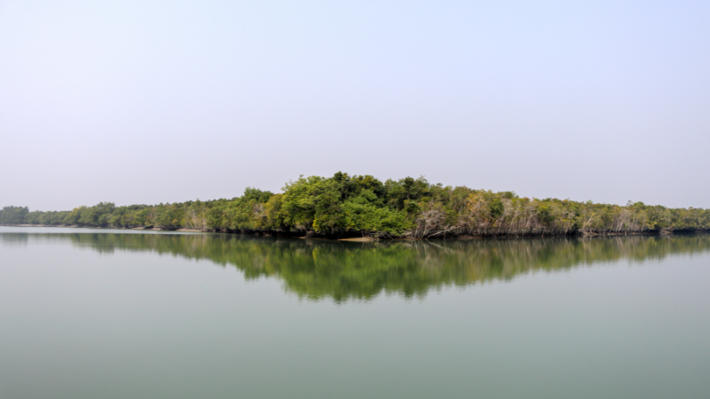 Sundarbans