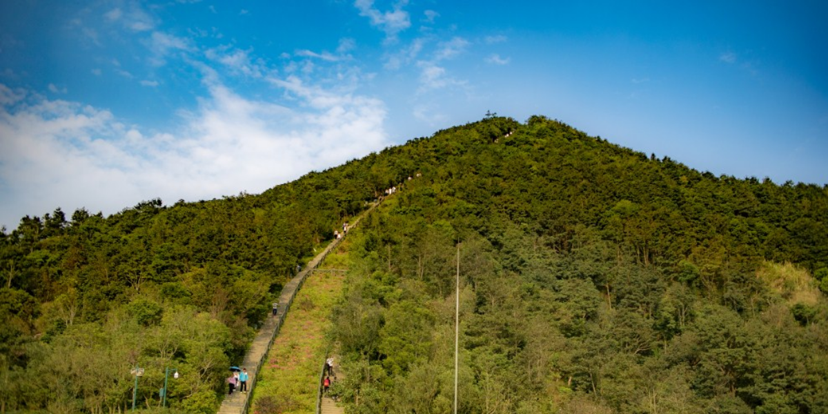 Wutong Mountain