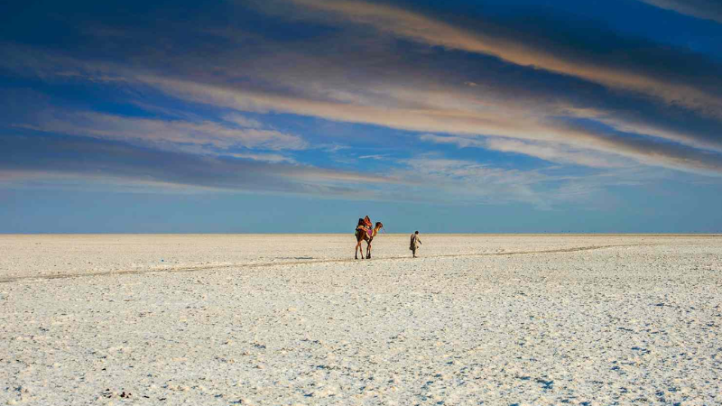 Rann of Kutch, Gujarat