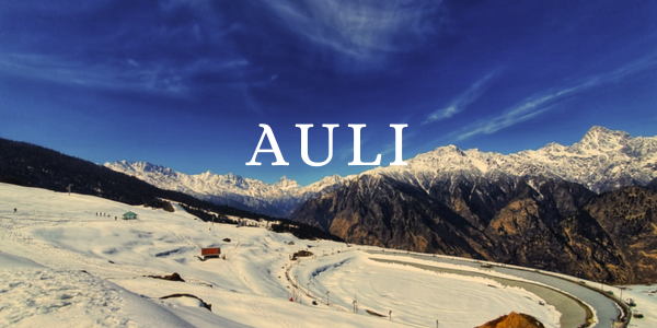 Auli