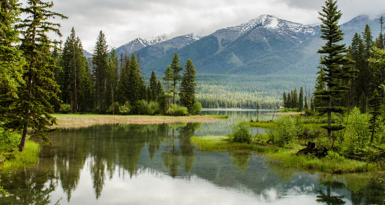 Badkhal Lake