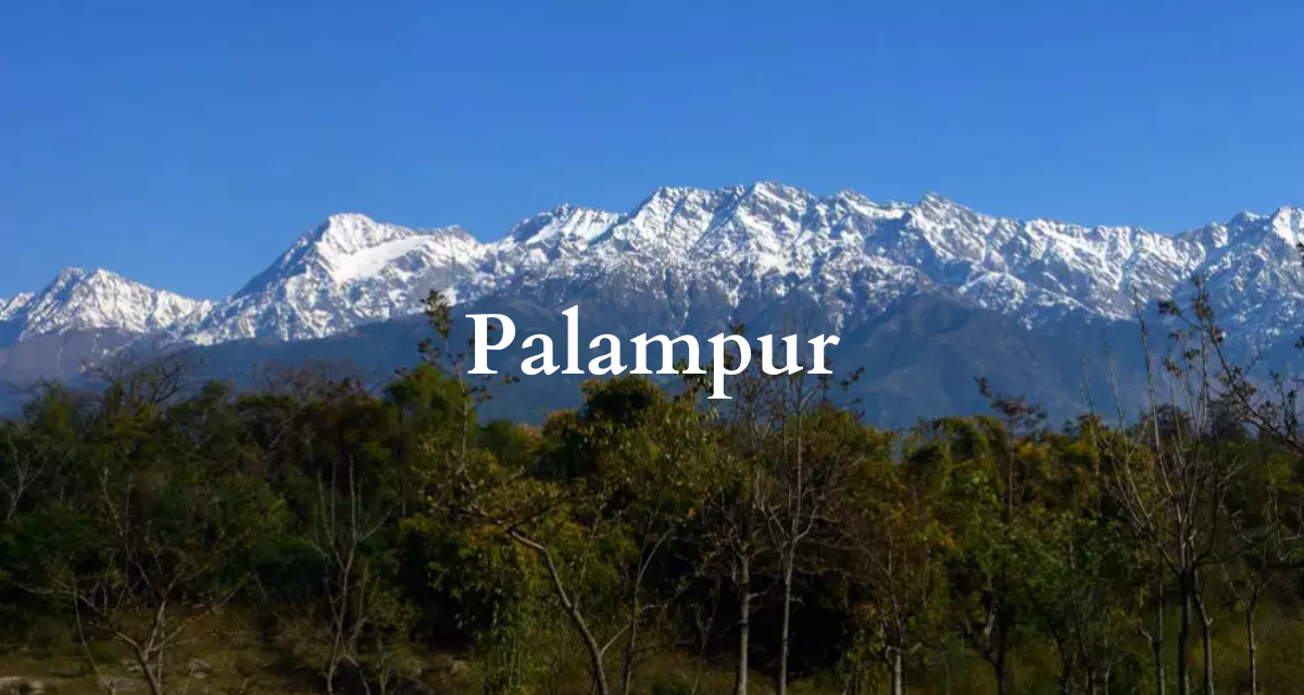 Palampur