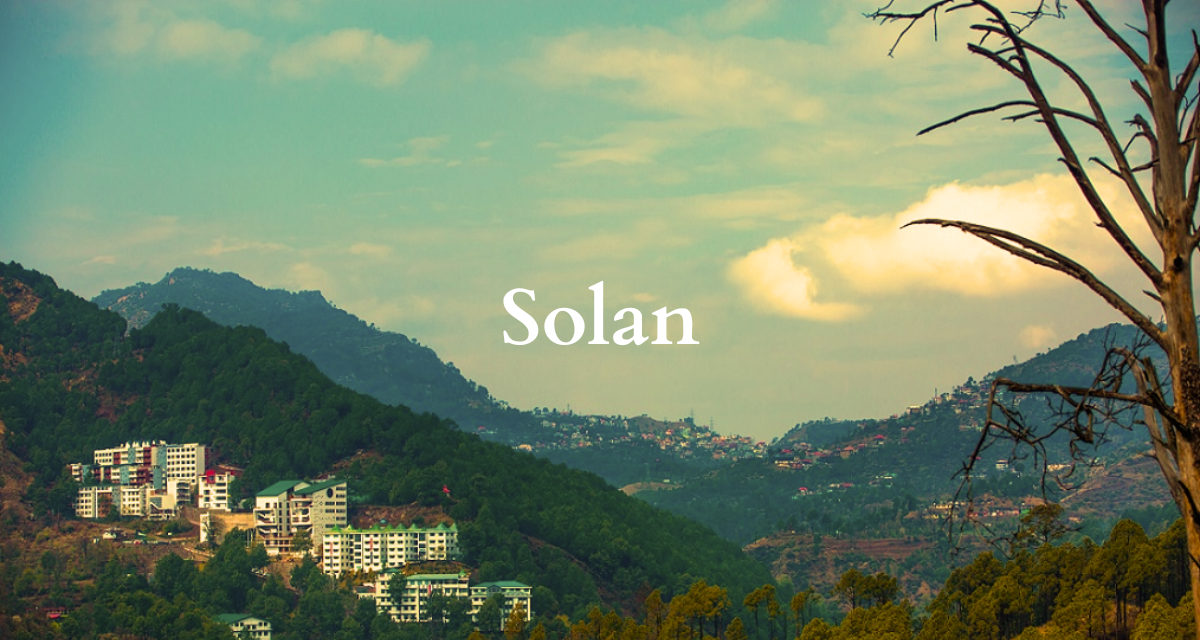 Solan