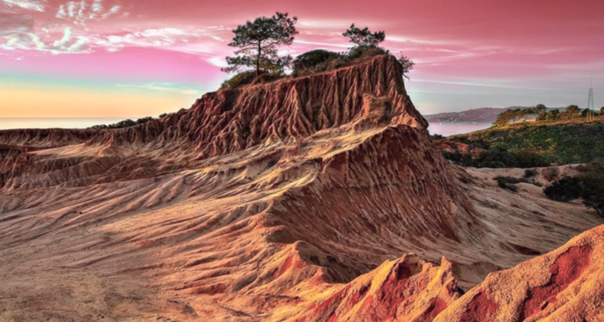 Torrey Pines State Natural Reserve