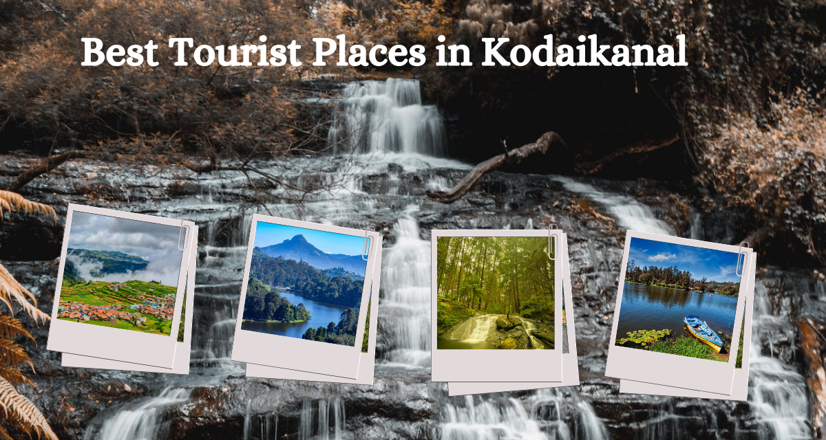 Top 10 Places To Visit In Kodaikanal