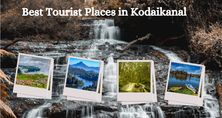 Best Tourist Places in Kodaikanal