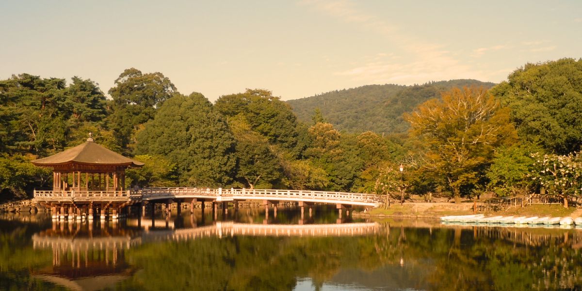 Nara Park