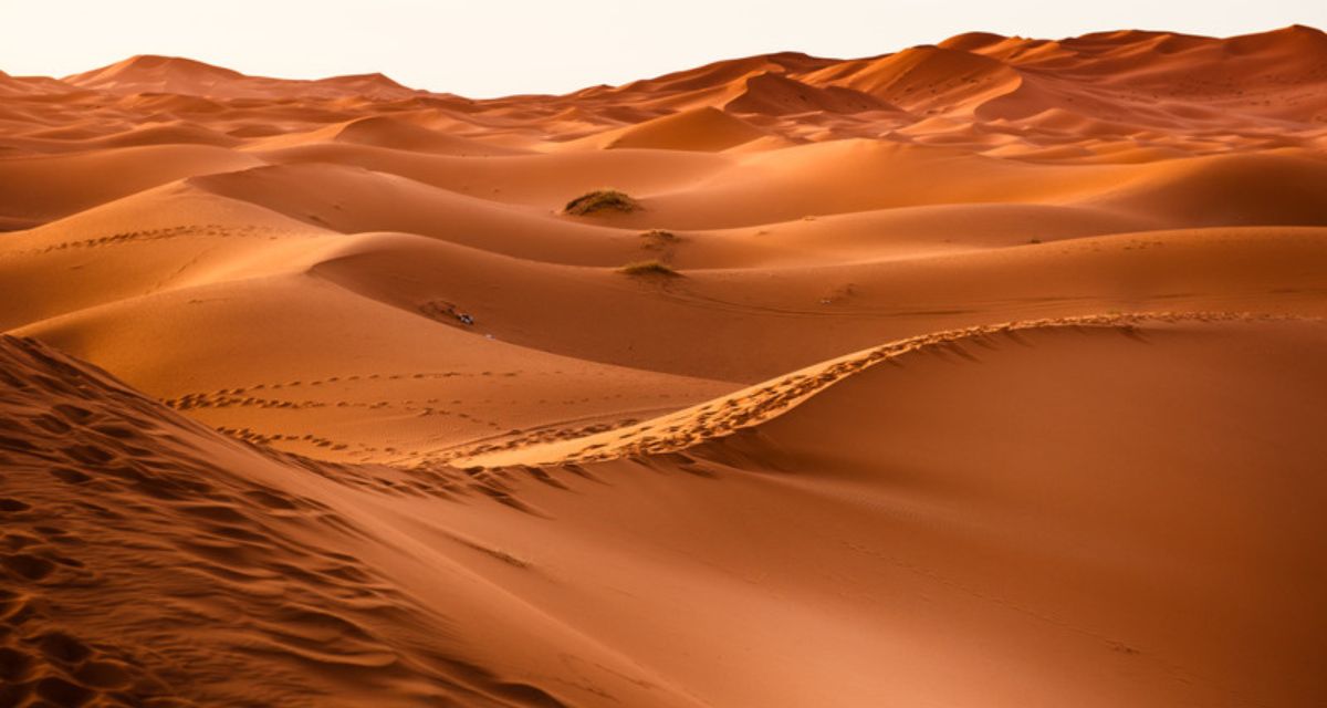 Al Wathba Fossil Dunes