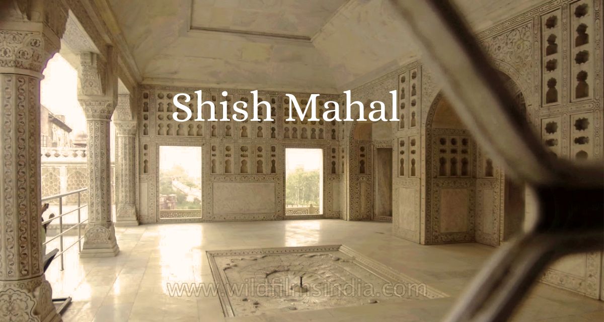 Glass Palace/ Shish Mahal