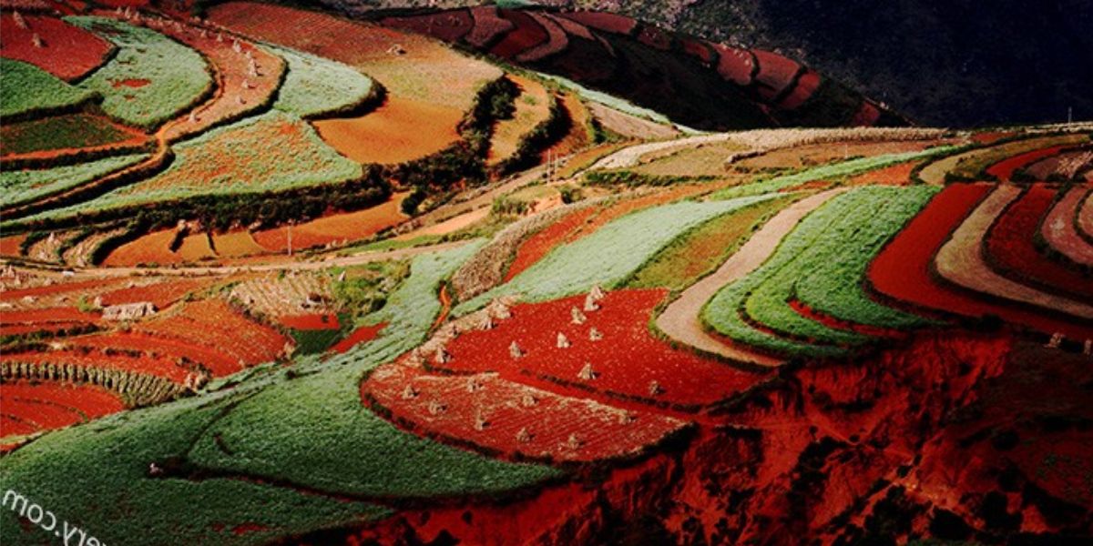 Dongchuan Red Land 