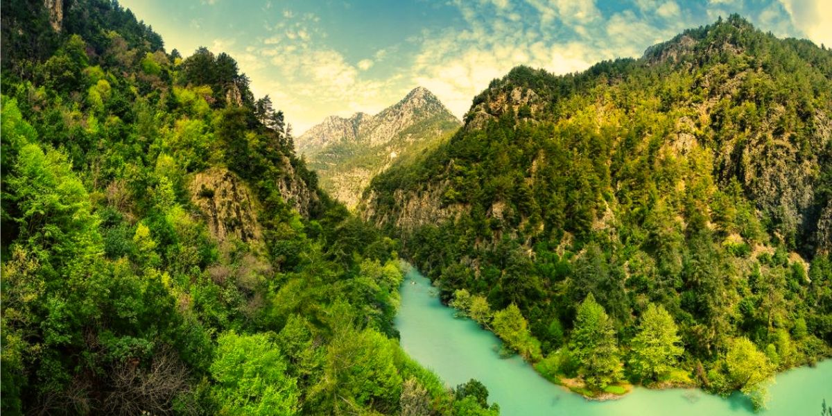 Jabal Moussa Biosphere Reserve