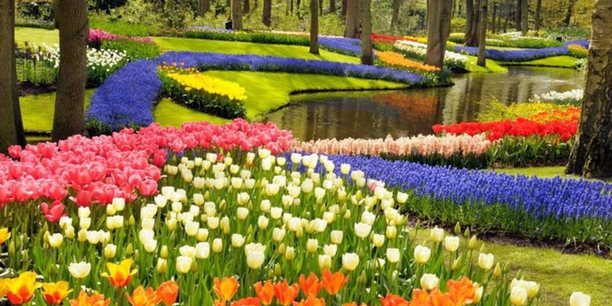 Keukenhof