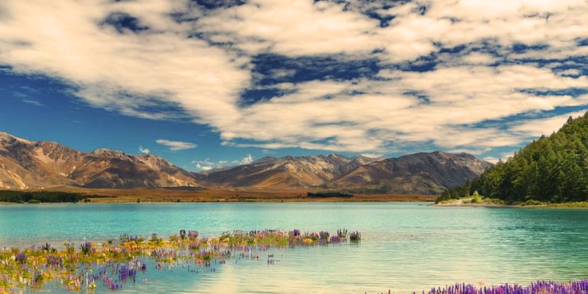 Lake Tekapo