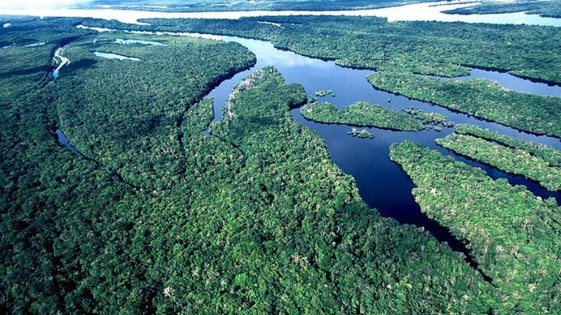 Manaus and the Amazon Rainforest