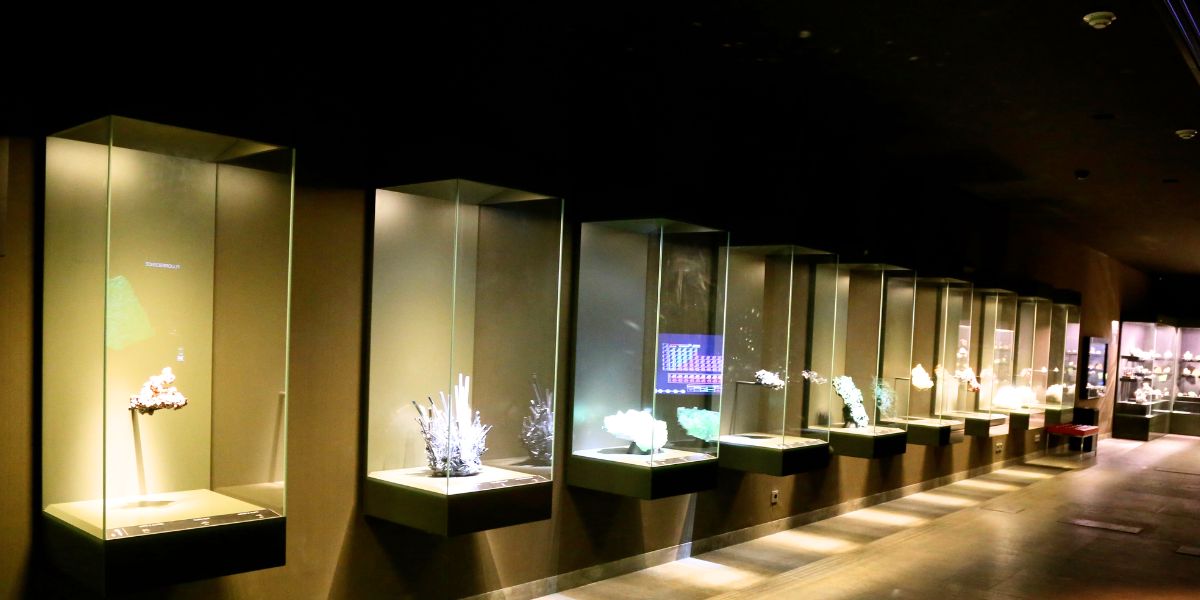 Mim Museum