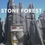 Shilin Stone Forest Tour