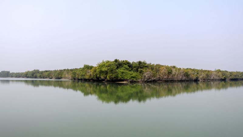 Sundarbans