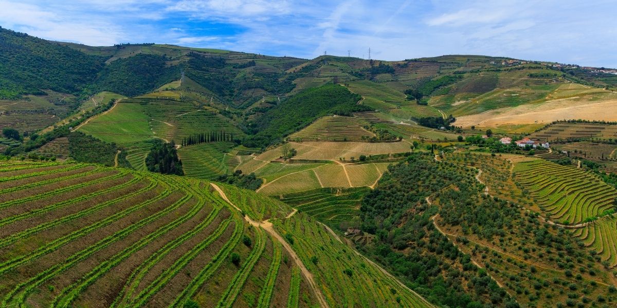 The Douro Valley