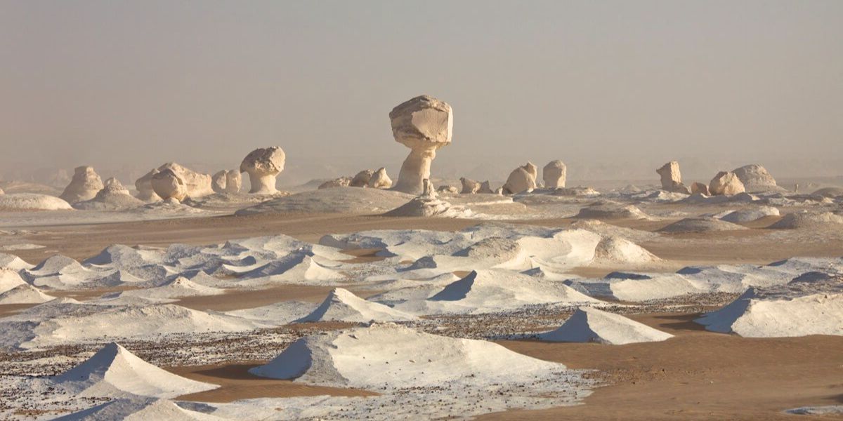 The White Desert