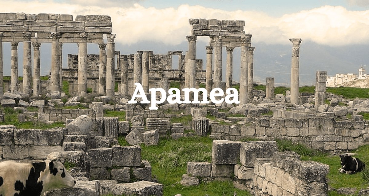 Apamea
