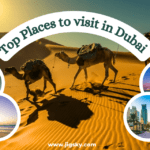 Top Places To visit in Dubai