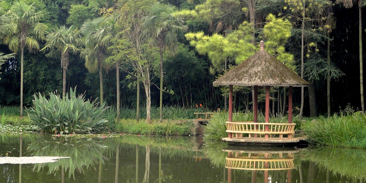 Kunming Botanical Garden